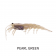 Pro Lure Clone Prawn Soft Plastic