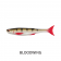 Irukandji Bloodhawk Lure