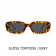 Carve Lizbeth Sunglasses