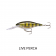 Rapala Shad Rap Deep Runner Lure