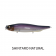 Megabass Megadog Lure