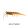 Pro Lure Clone Prawn Soft Plastic