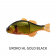 Jackall Gantarel Jointed Swimbait