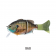Imakatsu GillRoid Minnie Lure