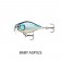 Rapala X-Light Crank Shallow Runner Lure