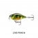 Rapala X-Light Crank Shallow Runner Lure