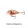 Rapala X-Light Crank Shallow Runner Lure