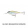 Rapala Shad Rap Elite 55 Lure