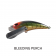 Kingfisher Olympus Crawler Lure