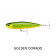 Rapala Precision Xtreme Pencil EXO Lure
