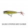 Rapala Skitter Pop Elite Lure