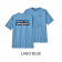 Patagonia Mens P-6 Logo Responsibili-Tee