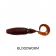 Biwaa Curly Tail Grub Lure