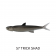 Ever Green Last Ace 168 Lure