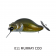 Adusta Zacrawl SC Lure