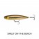 Rapala Precision Xtreme Pencil Lure