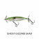Molix Trago 65 Spyblade Lure
