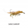 Live Target Live Shrimp Finesse Bait Lure