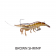 Live Target Live Shrimp Finesse Bait Lure