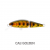 Daiwa SilverCreek Dr Minnow Joint II Floating Lure