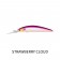 Daiwa Steez Current Master 93SP-DR Lure