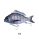 Little Jack Charikom Lure