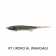 Jackall Nagisa 65SP Lure
