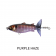 Chasebaits Drunken Mullet JNR Lure