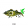 Chasebaits Swim Dusty Lure