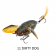 Chasebaits Ripple Cicada Lure
