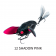 Chasebaits Ripple Cicada Lure