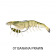 Chasebaits King Flick Prawn Lure