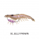 Chasebaits King Flick Prawn Lure