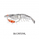 Chasebaits King Flick Prawn Lure