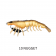 Chasebaits King Flick Prawn Lure
