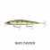 Rapala Precision Xtreme Mavrik 110 Lure