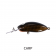 Mudeye Lures Mudeye - 80mm