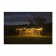 Oztrail Loomie Line String Lights