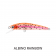 Daiwa Silvercreek Minnow 60F Lure