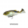 Molix Hybrid Swimmer 165 Lure