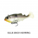 Molix Hybrid Swimmer 165 Lure