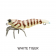 Pro Lure Hybrid Shrimp Lure