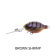 Barambah Lures Deton8or DF Lure
