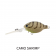 Barambah Lures Deton8or DF Lure