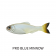 6th Sense Panorama Lure