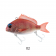 Little Jack Charikom Lure