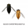 Atomic Hardz Cicada 47 Lure