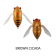 Atomic Hardz Cicada 47 Lure