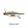 Megabass Anthrax Lure