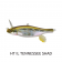 Megabass Anthrax Lure